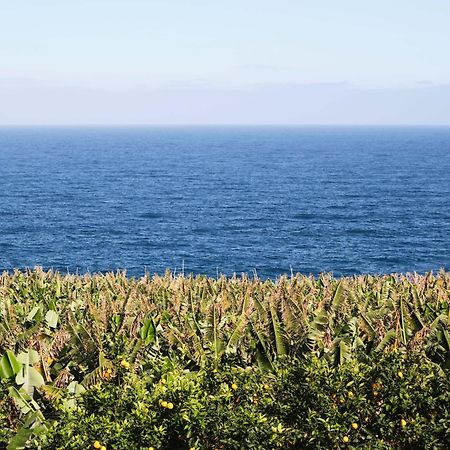 El Convento II Tranquilidad Y Vistas Unicas Apartment San Andres  ภายนอก รูปภาพ