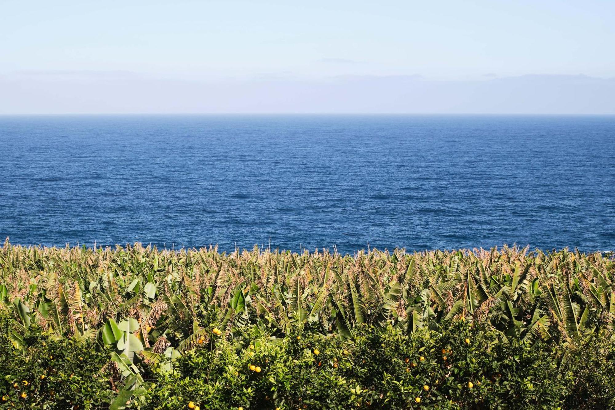El Convento II Tranquilidad Y Vistas Unicas Apartment San Andres  ภายนอก รูปภาพ